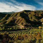 Ojai