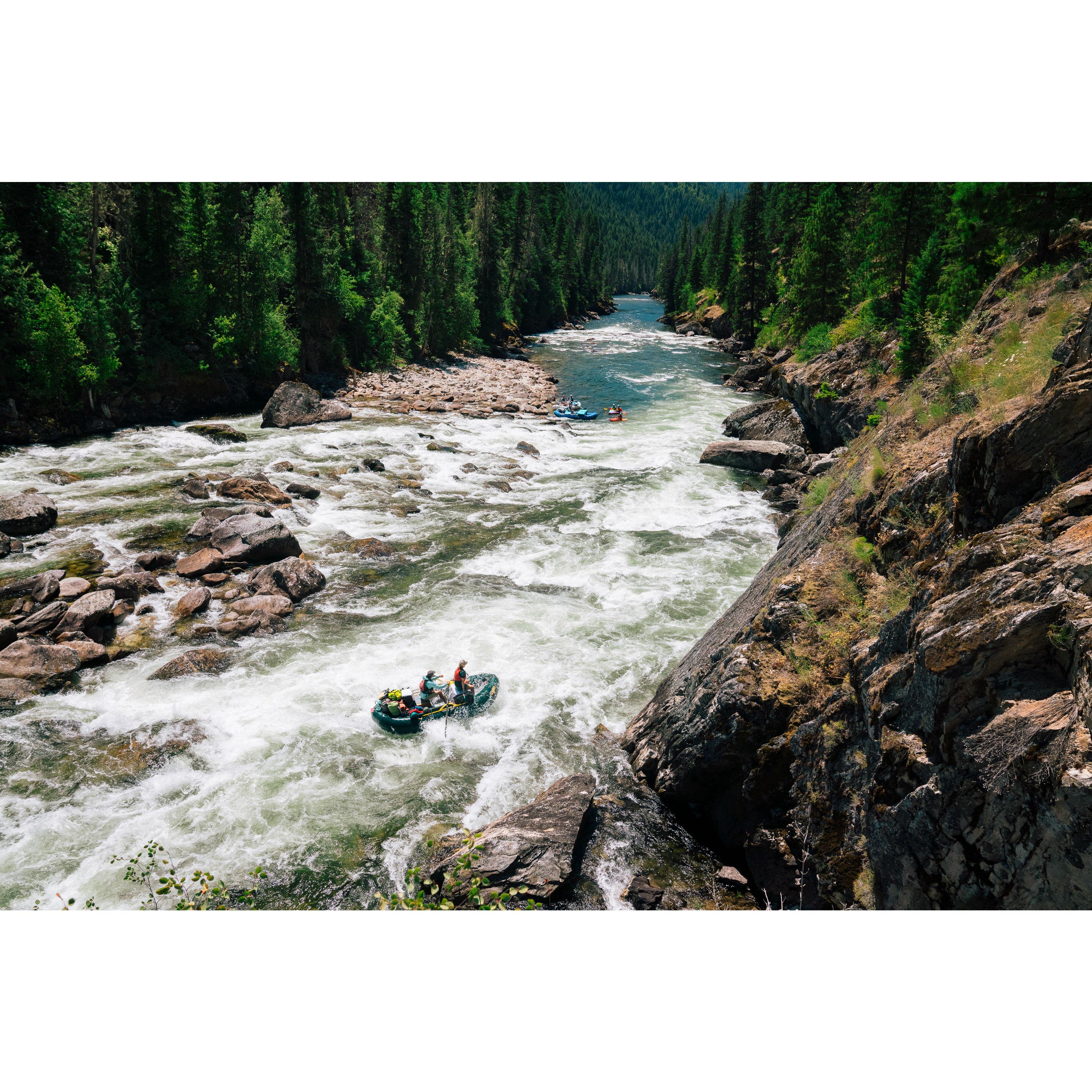 Wolf Creek on the Selway