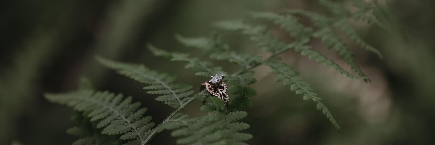 The Wedding Website of Alyssa Lucas and Nathan Hall