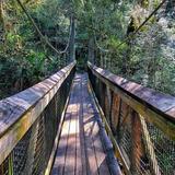 Ravine Gardens State Park