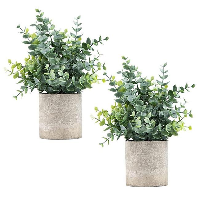 Coferset 2 Pack Artificial Eucalyptus Mini Potted Plants Fake Sprayed Eucalyptus Plant in Pots Small House Plants for Home Office Desk Room Decor (Eucalyptus, 2)