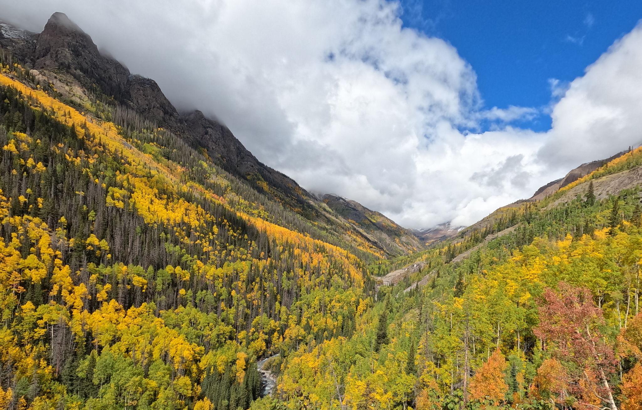 The Wedding Website of Tessa Flahive-F0r0 and Brandon Wiley