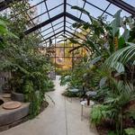 Margarita Concept Garden