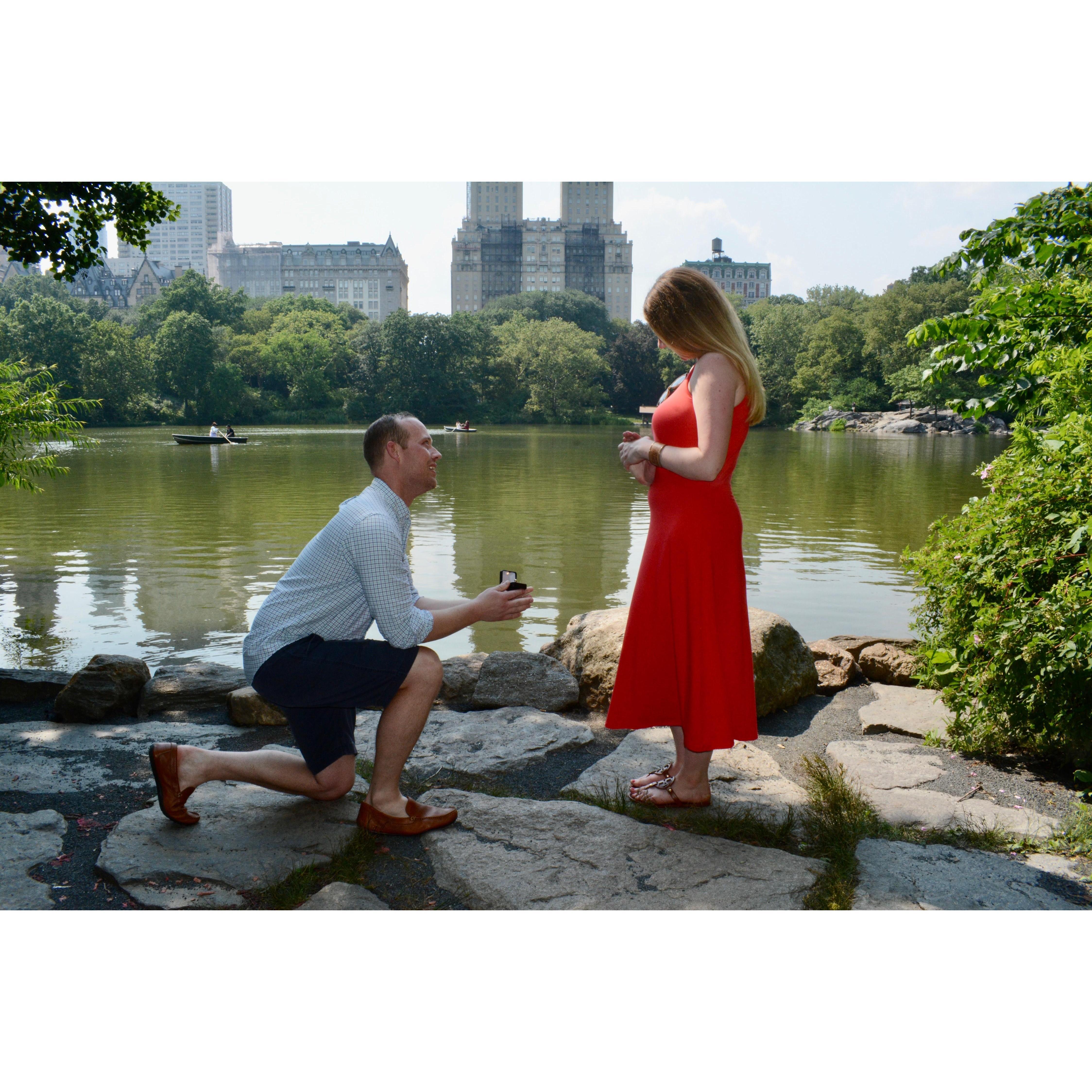 Proposing in Central Park, NYC 2021
