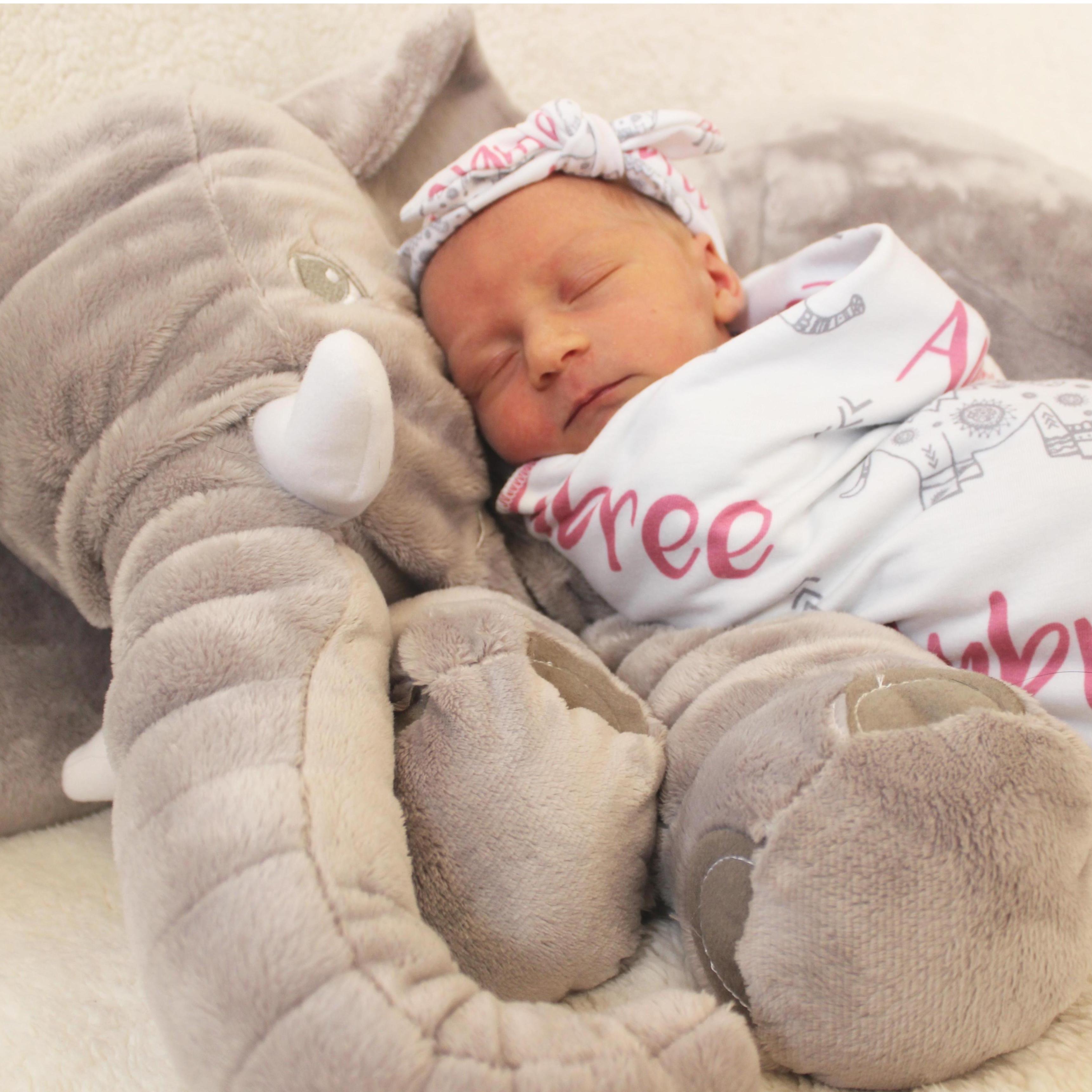 Our beautiful Aubree was born in 2019