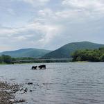 Riverside Park