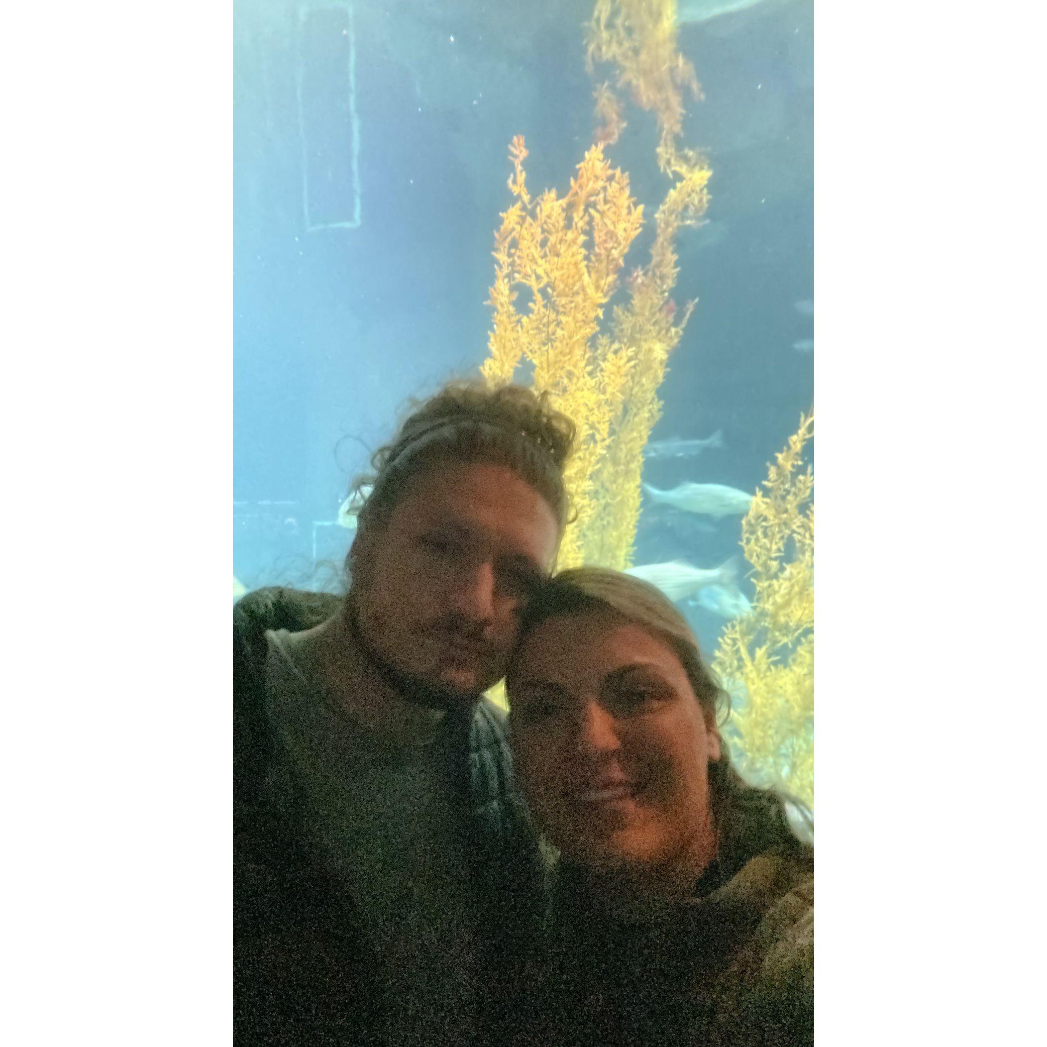 Shed Aquarium @ Chicago – July 2023