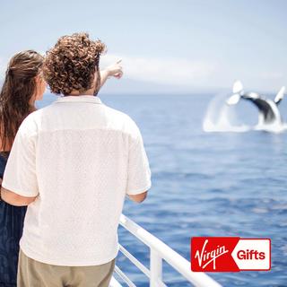 Wailuku Whale Watch Adventure for 2 - Maui