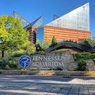 Tennessee Aquarium