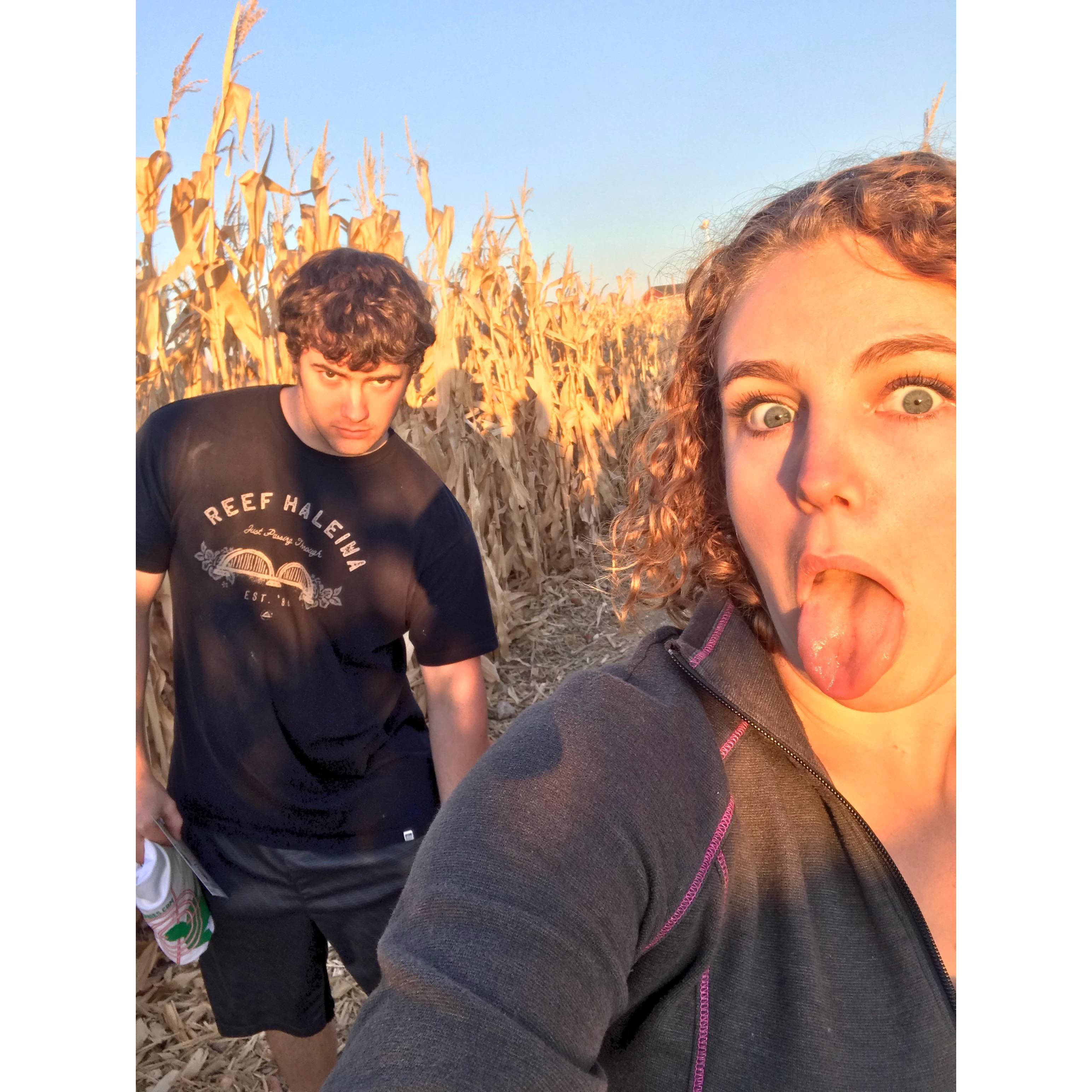 Corn mazes drive us insane