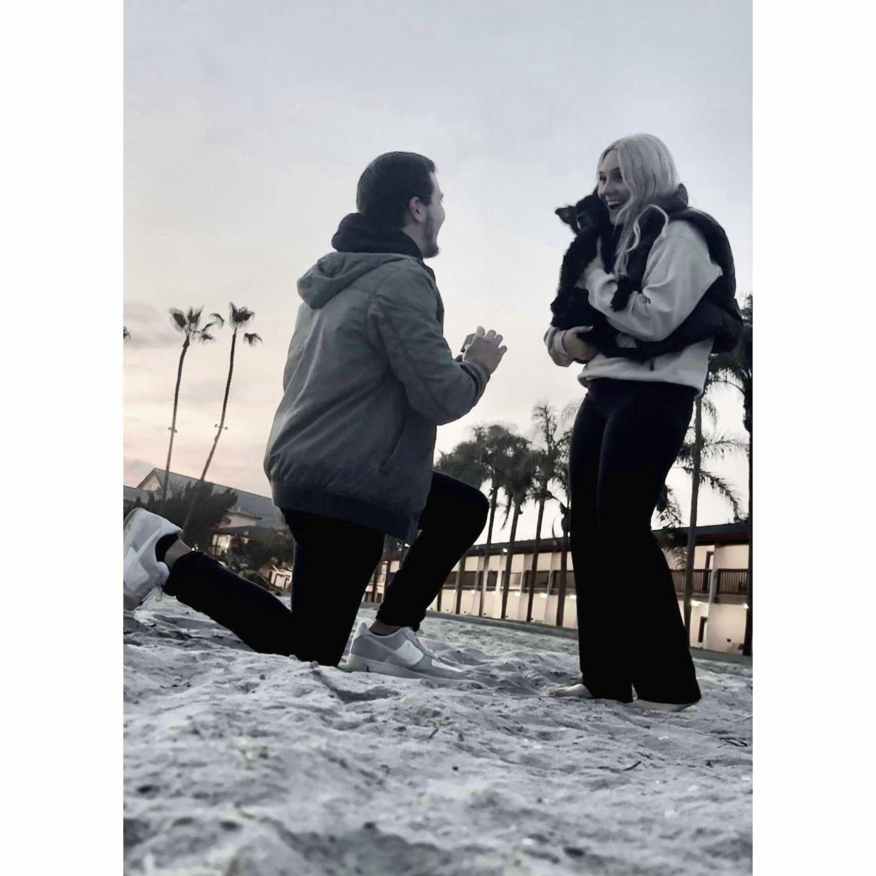 The moment Dom got on one knee! Spoiler alert: she said YES!