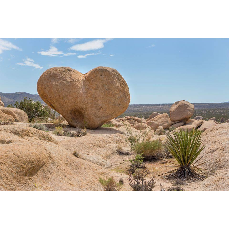 We are each others Rocks!