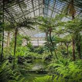 Garfield Park Conservatory