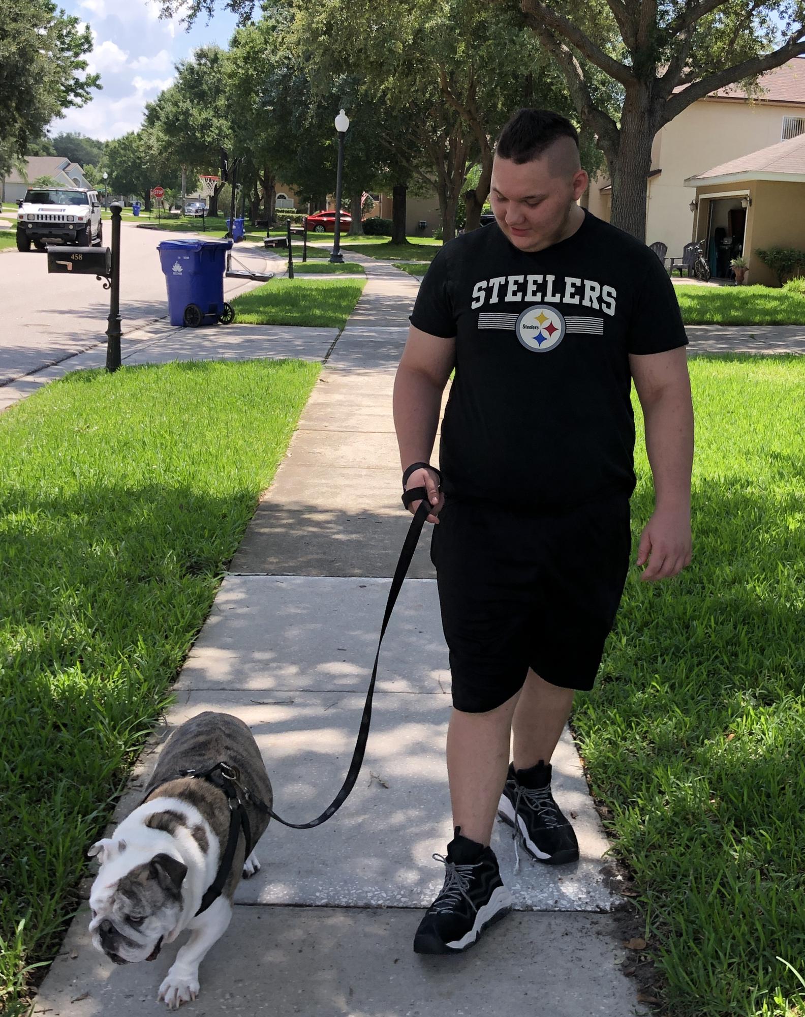 Dog walking