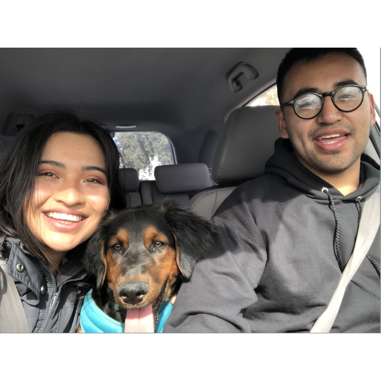 Pawrents to Waffle