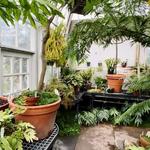 The Botanic Garden of Smith College