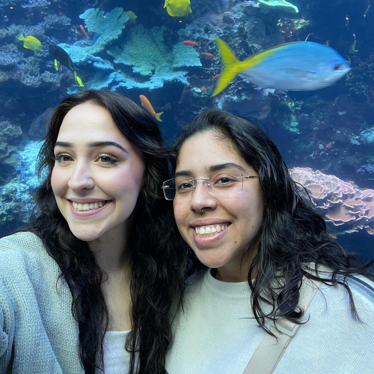 georgia aquarium