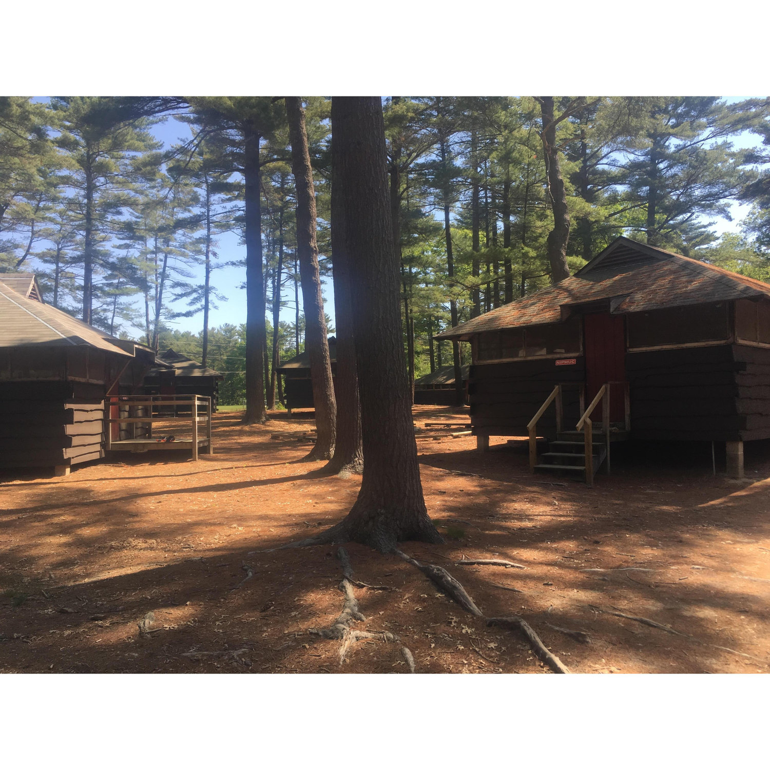 free standing cabins