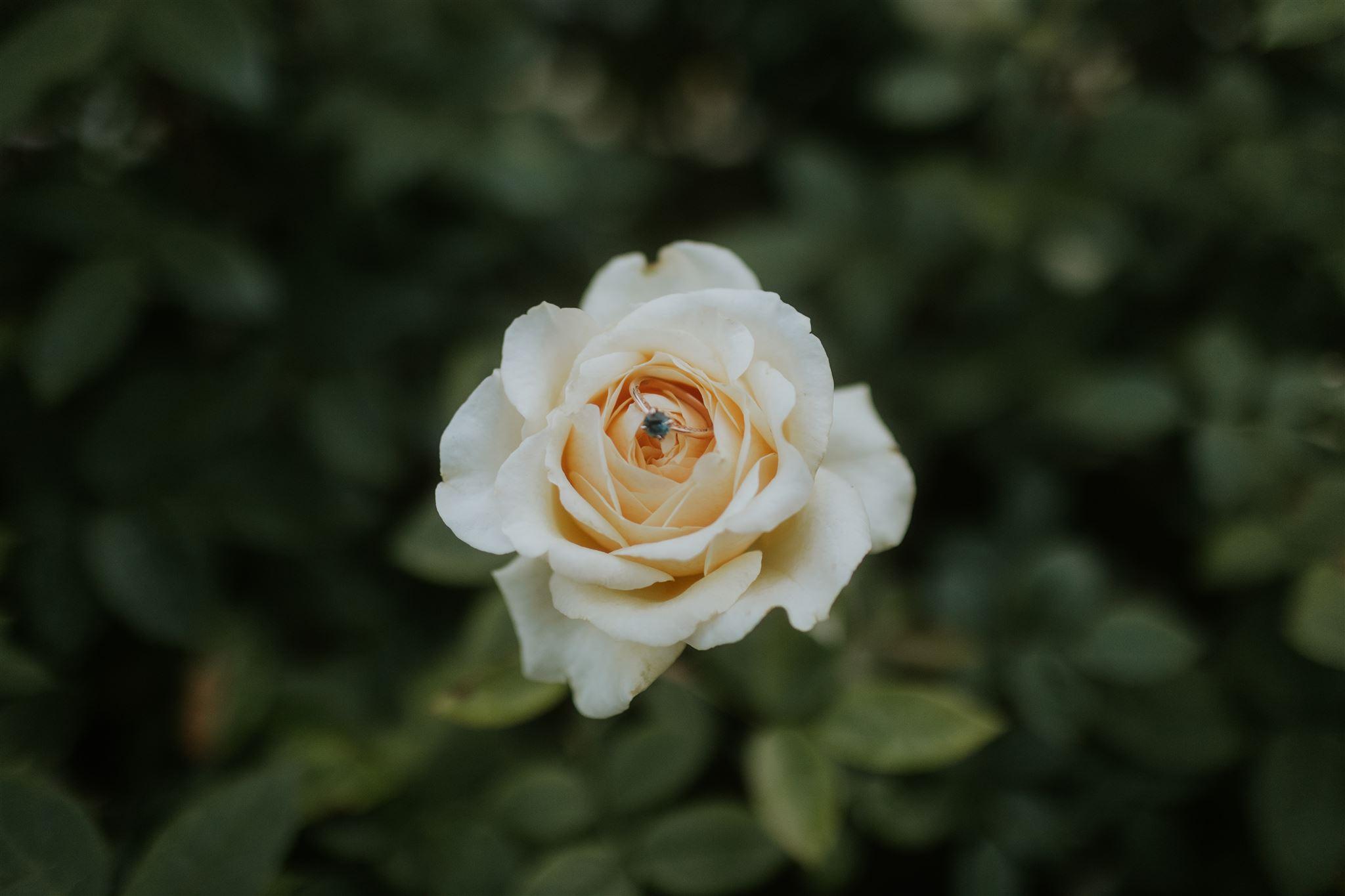 The Wedding Website of Tasia Pona and Carlin Kelly