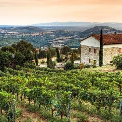 Winery in Tuscany