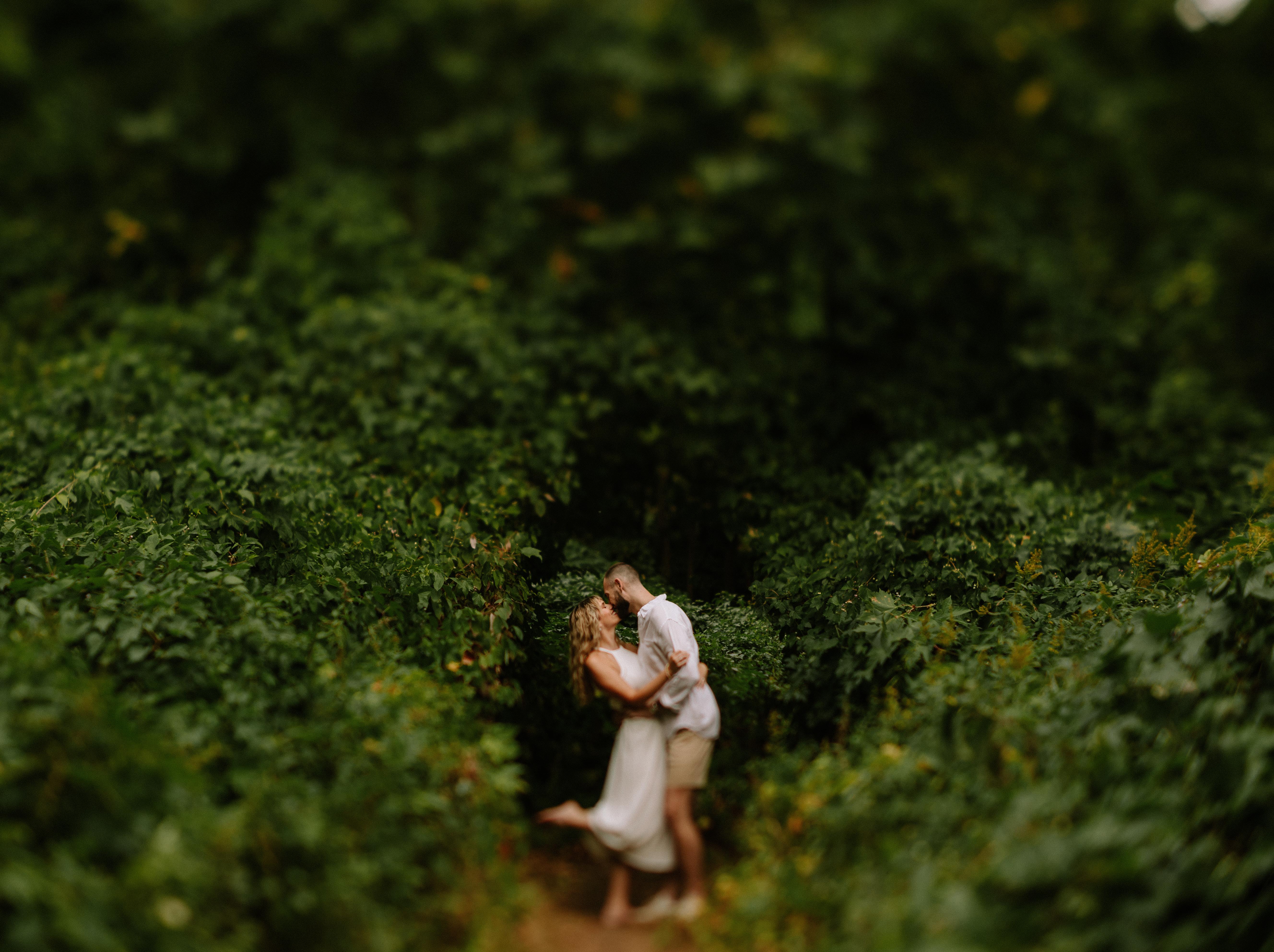 The Wedding Website of Adrienne Woods and David Desmet