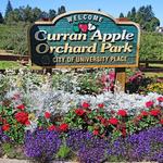 Curran Apple Orchard Park