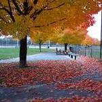 Foss Park