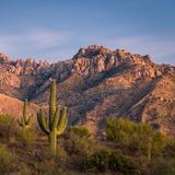Catalina State Park