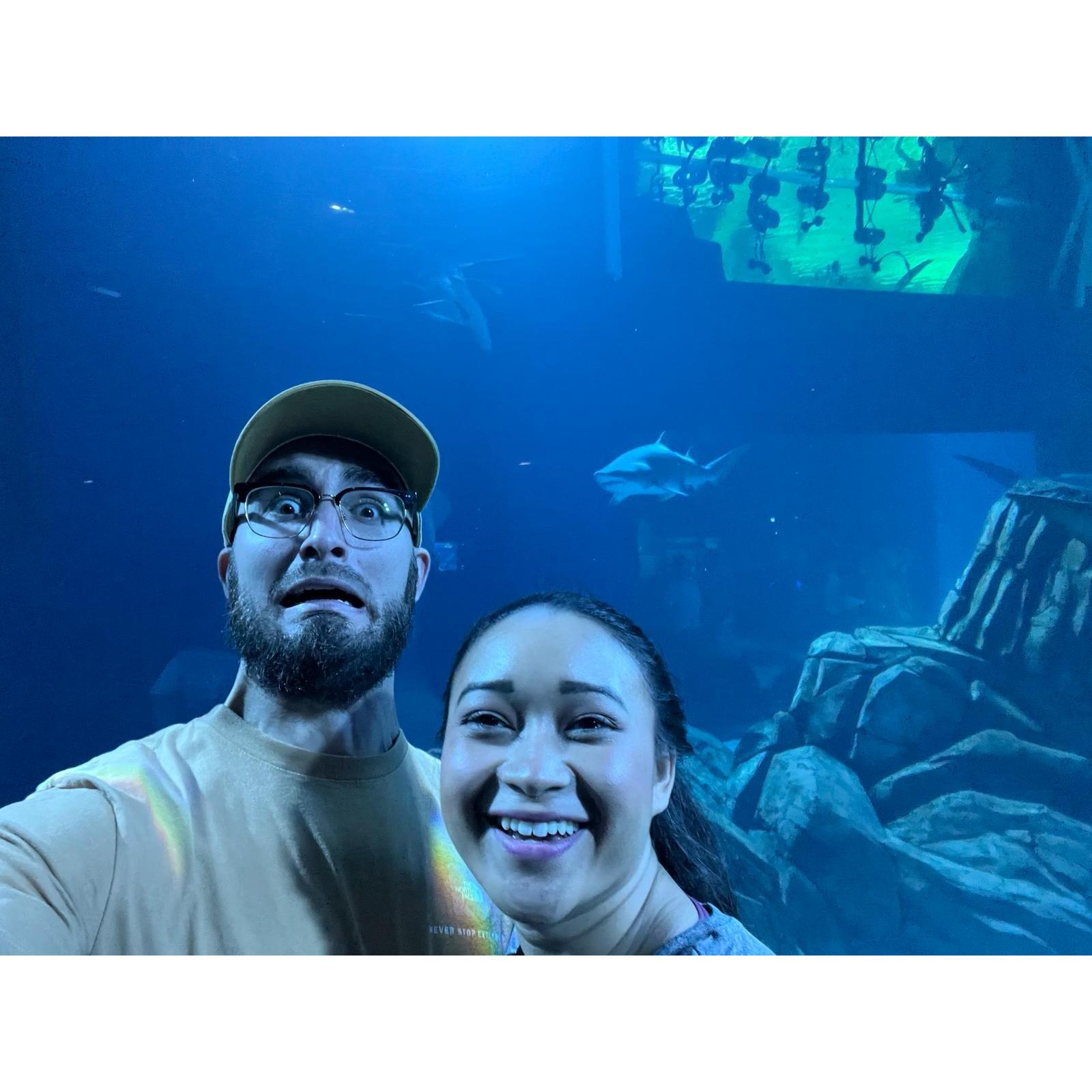 The GA Aquarium
