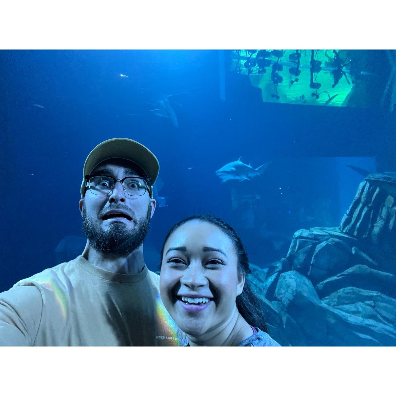The GA Aquarium