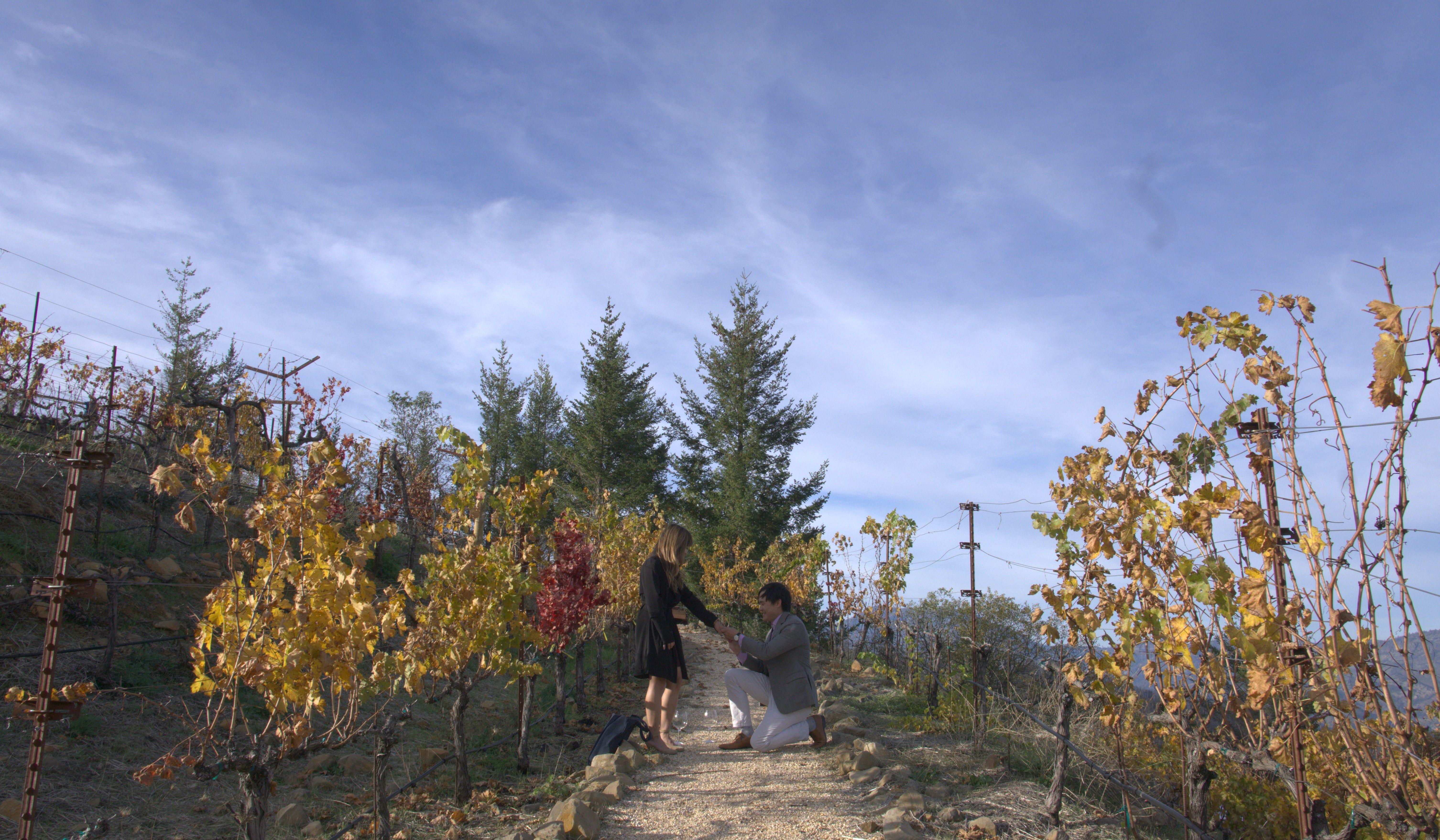 Footer image