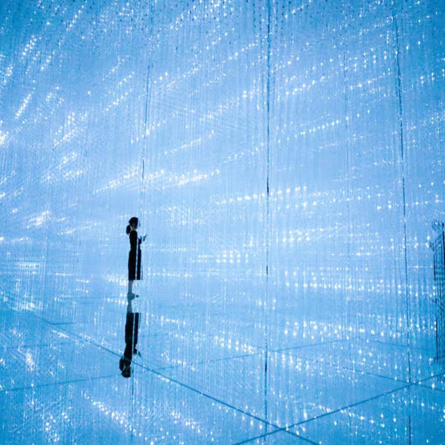 Team Lab Museum in Tokyo