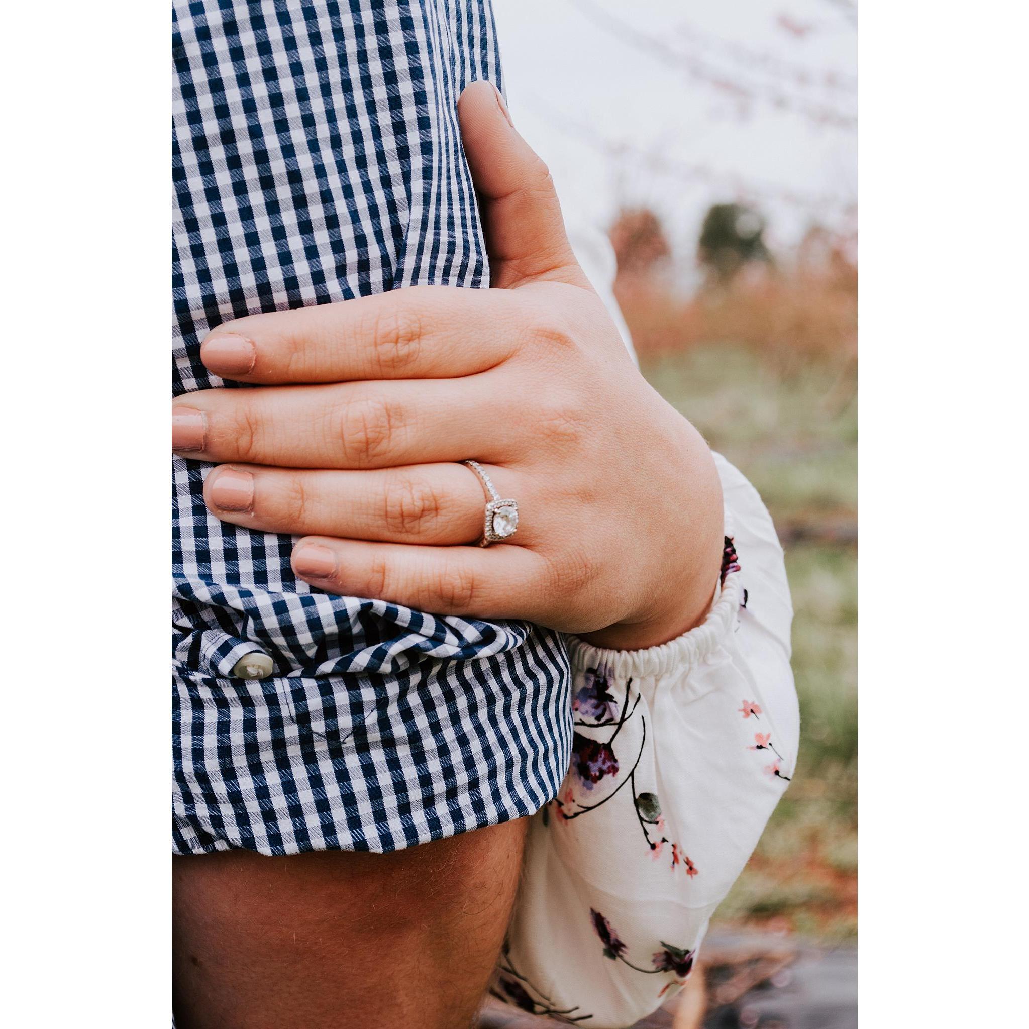 Photo Credit: Daisy Photography by Sam