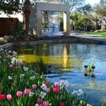 The Dallas Arboretum and Botanical Garden