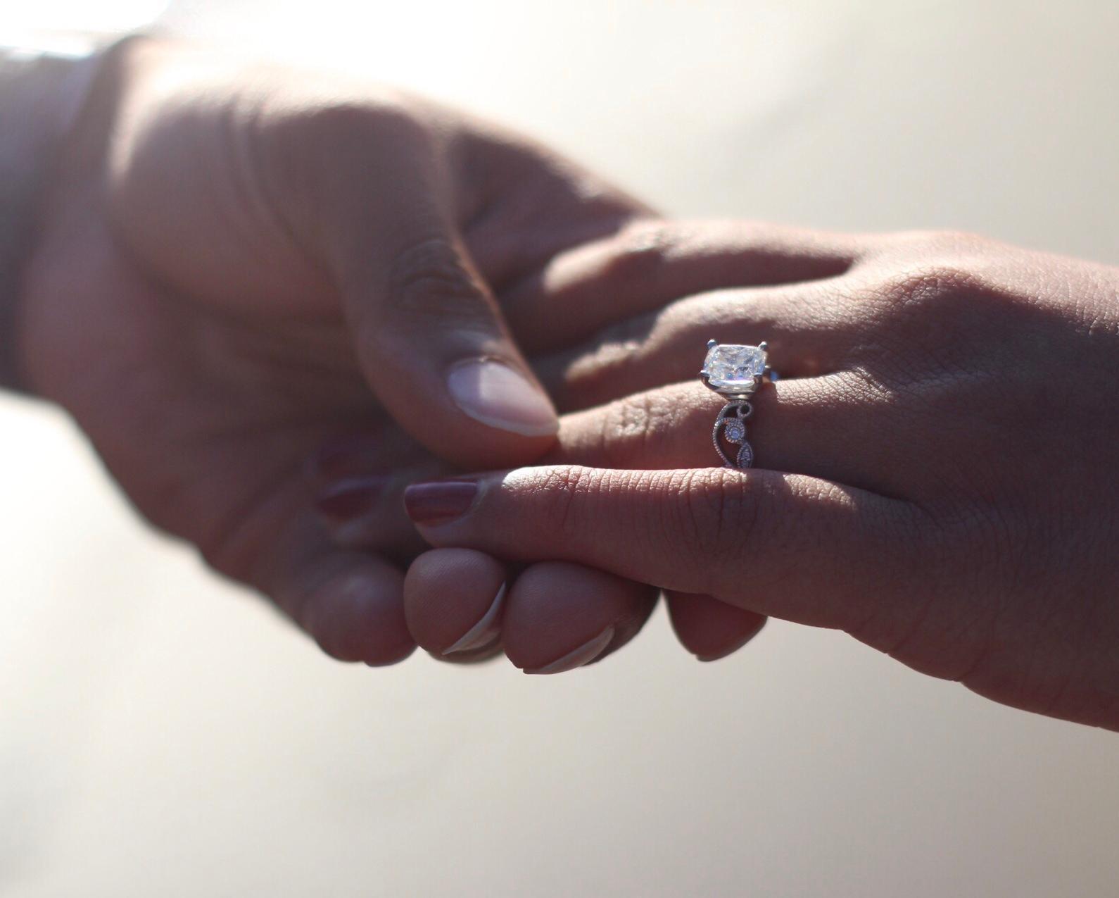The Wedding Website of Shalini Jain and Sohan Punatar