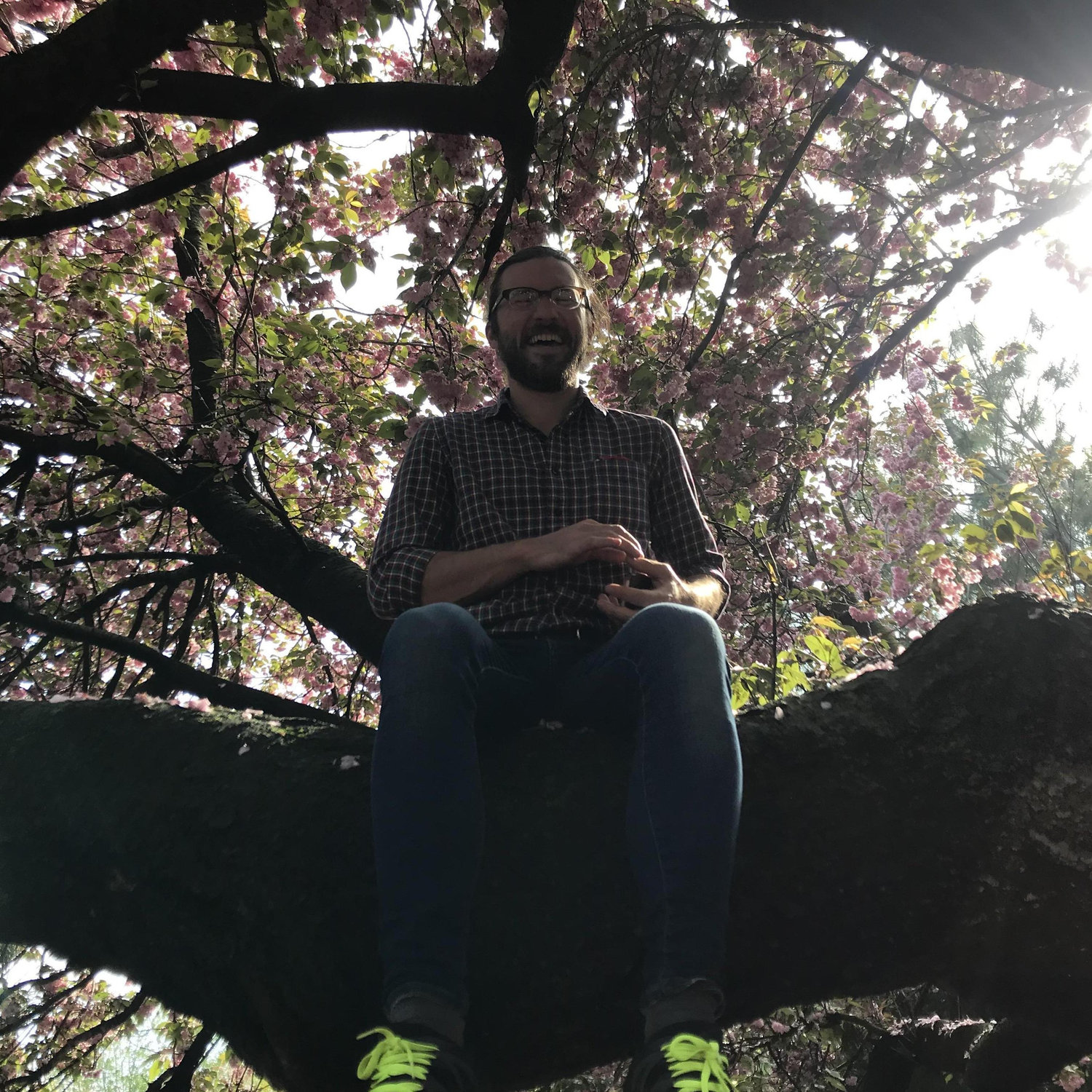 Among the cherry blossom.