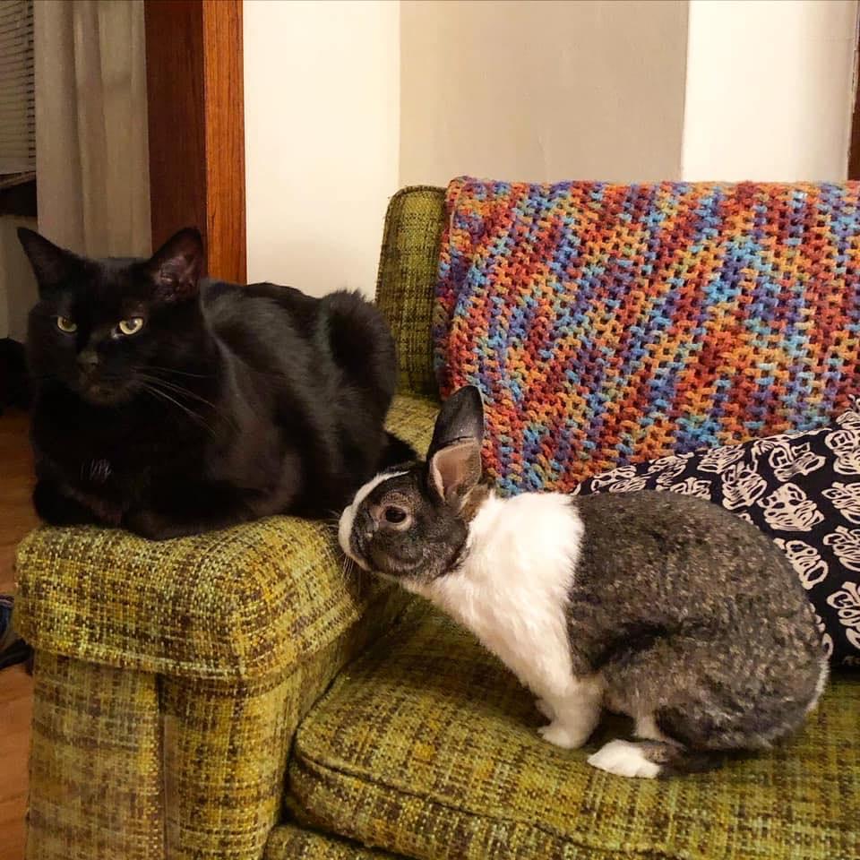 Our children, Alyosha and Mr. Biscuits