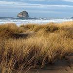 Bob Straub State Park