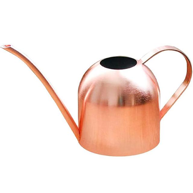 Fasmov 17 Oz Stainless Steel Watering Can Modern Style Watering Pot, Watering Can with Long Spout to Prevent Spillage, Perfect Plant Watering Can for Outdoor and Indoor Plants (Copper)