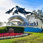 SeaWorld Orlando