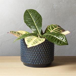 Bubble Navy Blue Planter