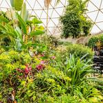 Greater Des Moines Botanical Garden