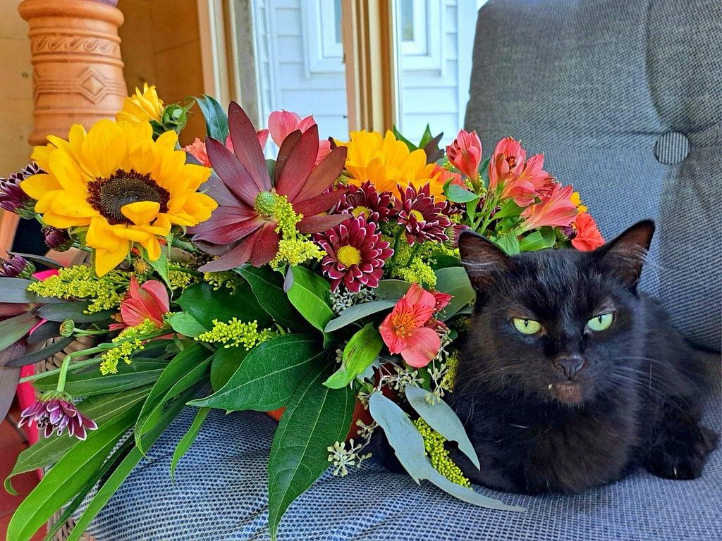 The Wedding Website of Morgan Grimm and Josh Lareau