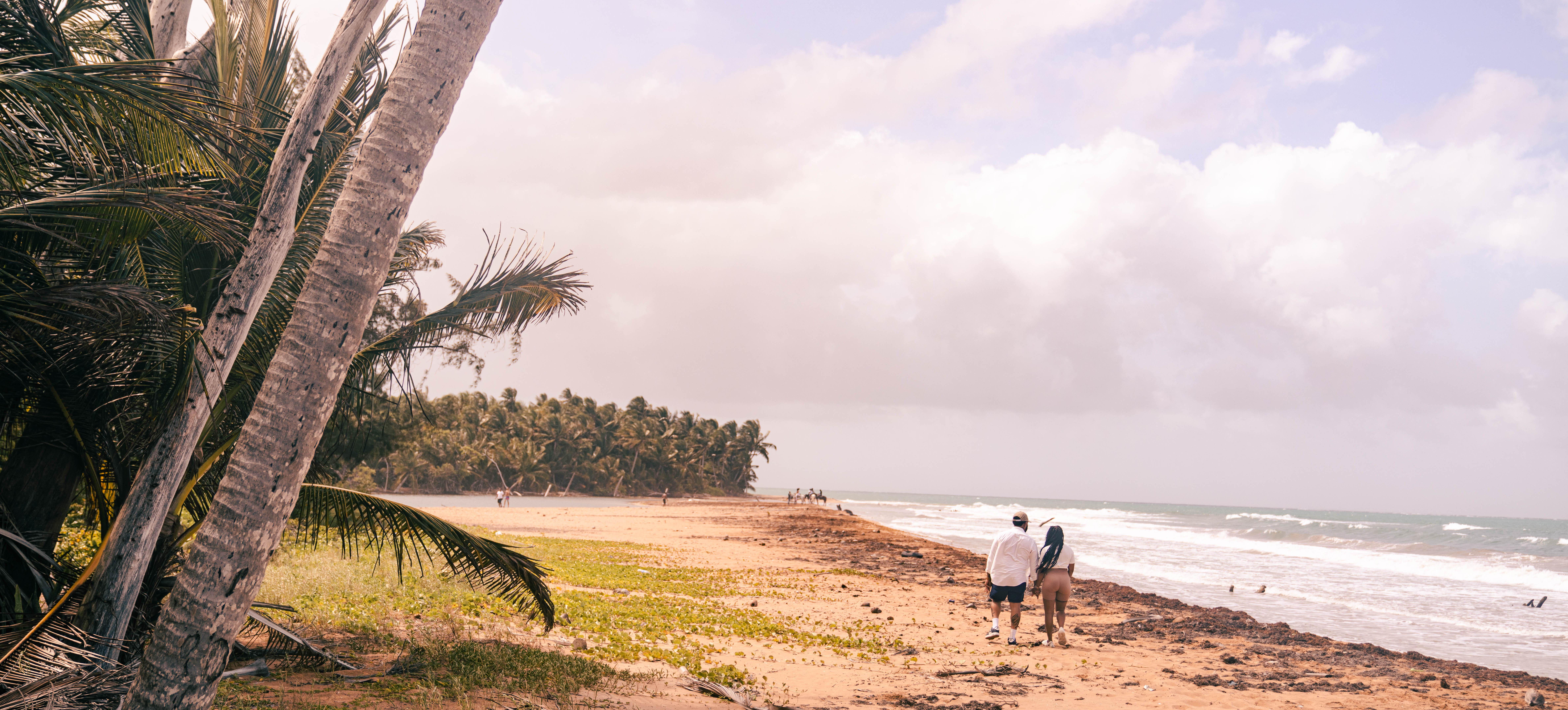 The Wedding Website of Jazmin Toussaint and Ronald Gradney