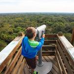 Myakka River State Park