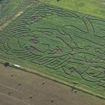Spearfish Corn Maze & Pumpkin Patch