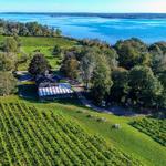 Greenvale Vineyards