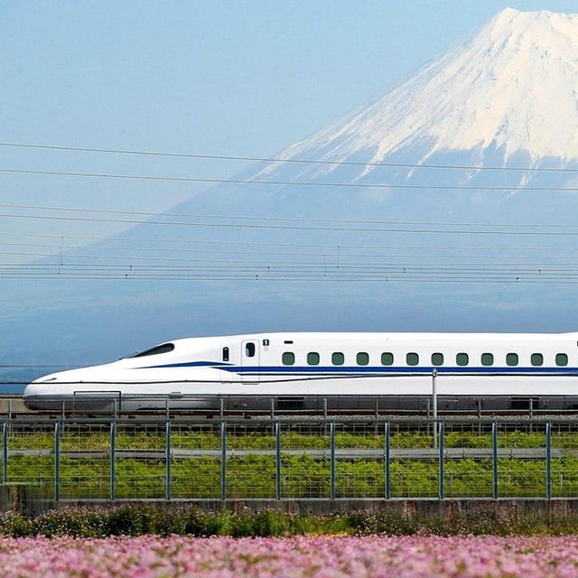 Honeymoon Lodging and Shinkansen (Japanese Bullet Train) Tickets!