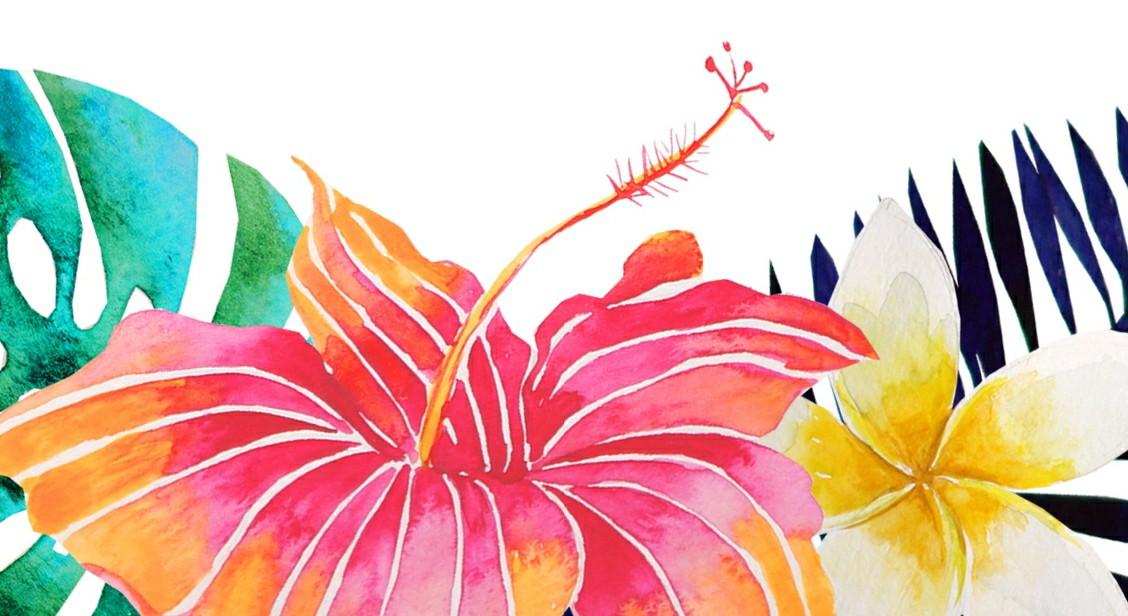 Footer image