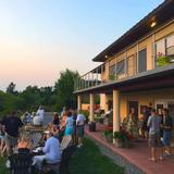 Damiani Wine Cellars